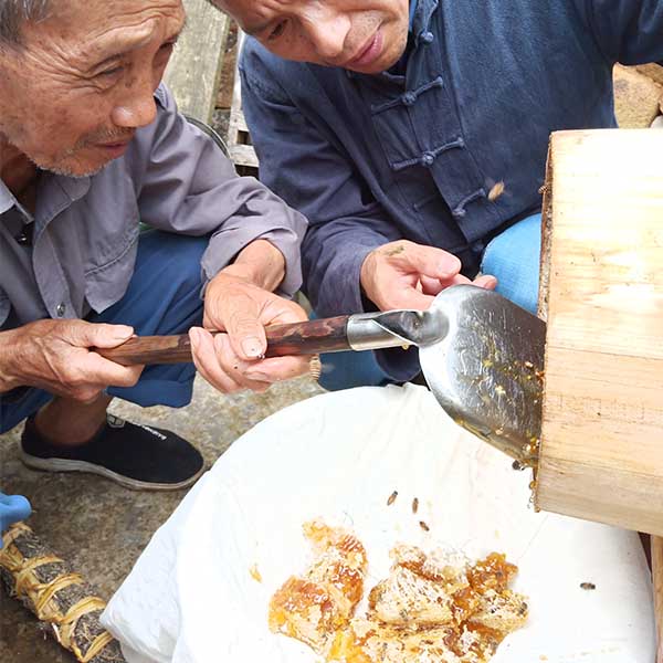 蜂农故事之82岁的程爷爷:张蜂霸是我们的希望,张蜂霸帮我卖土蜂蜜